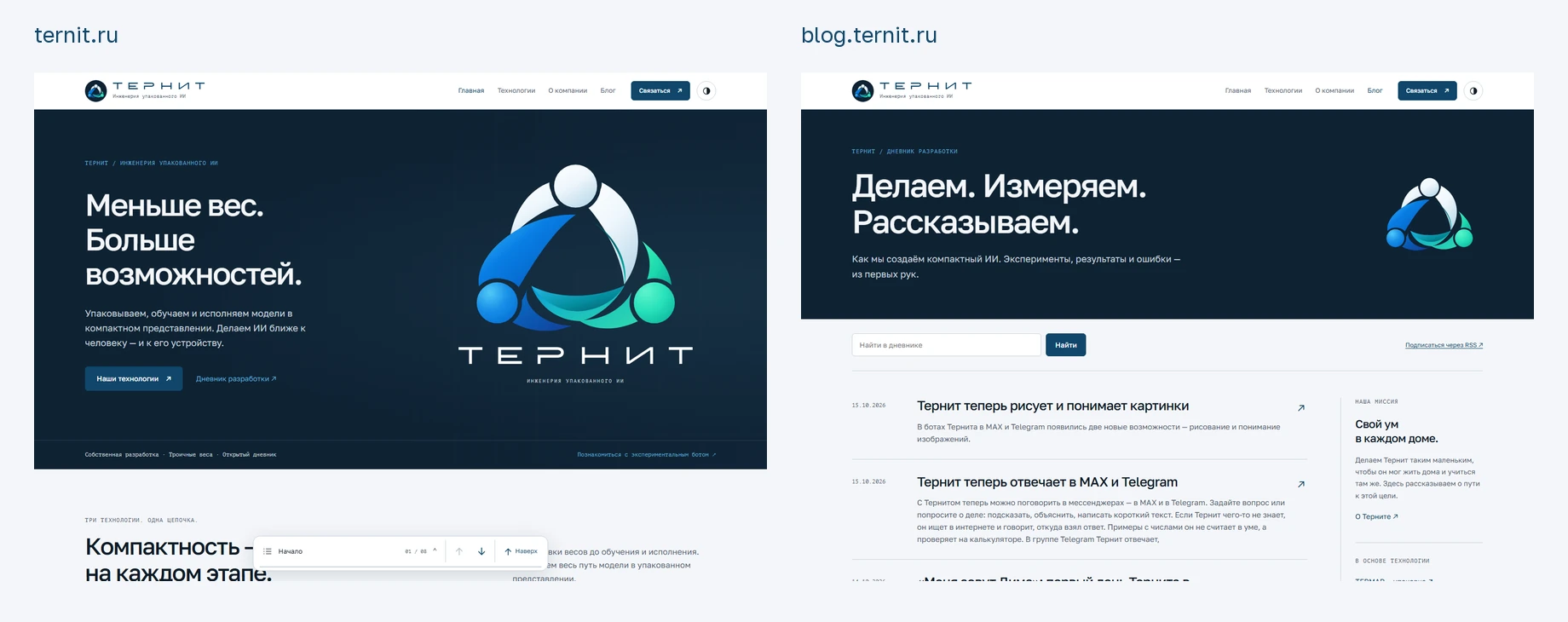 Обновлённые сайт и блог Тернита: общий знак, синяя палитра и навигация внизу страницы